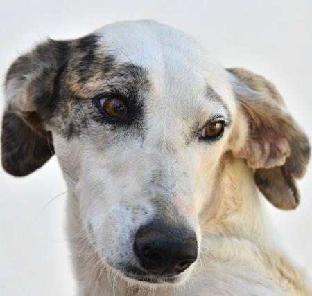 NIEVES, LA ETERNA OLVIDADA!!