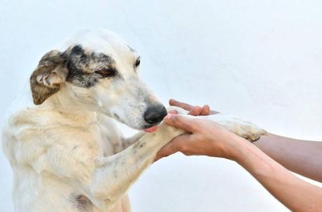 NIEVES, LA ETERNA OLVIDADA!!