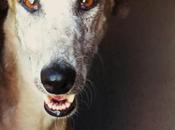 Abril acogida adopción. (madrid)