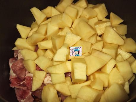 CARNE CON PATATAS EN MI OLLA ERIKA