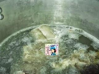 MI PUCHERITO ANDALUZ