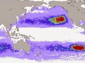 Todos océanos tienen residuos plásticos superficie