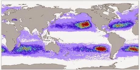 Todos los océanos tienen residuos plásticos en su superficie