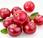Cranberries arándanos rojos para infecciones mucho