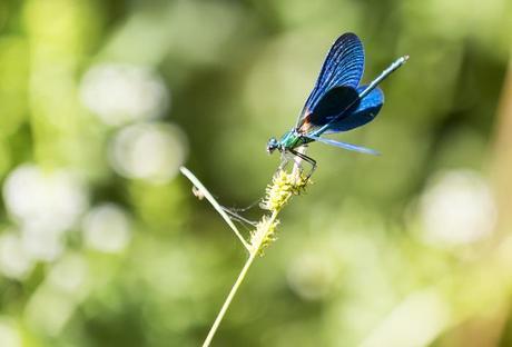street style barbara crespo a walk in the countryside teruel village fashion blogger outfit the corner shop blog de moda