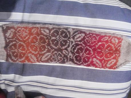 Swapetines 2014, terminados por fin