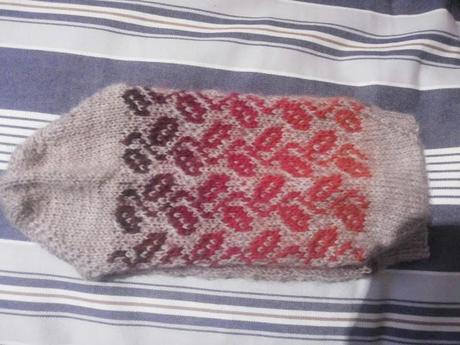 Swapetines 2014, terminados por fin