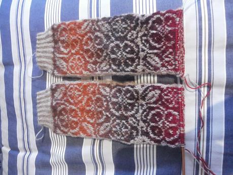 Swapetines (IV), viendo la luz al final de la puntera