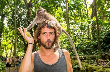 Qué pasa, tengo monos en la cara? Qué pasa, tengo monos en la cara?