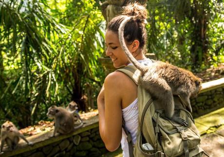 Monos sin vergüenza, Ubud, Bali Monos sin vergüenza, Ubud, Bali