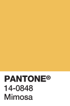 Color Pantone del año 2009