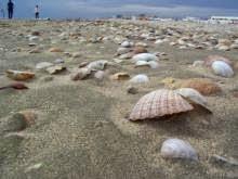 10 Destinos de vacaciones para personas con discapacidad