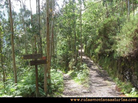 Ruta Hoces del Esva: Cruce en el camino a la Central del Esva