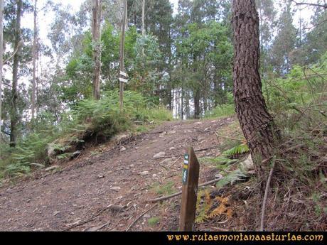 Ruta Hoces del Esva: Cruce en el camino hacia el Cabañón