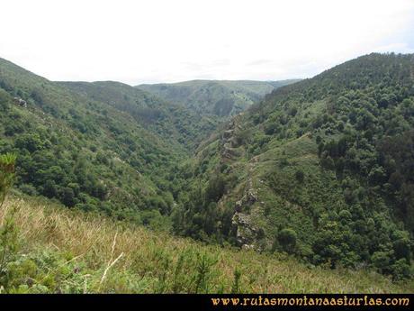 Ruta Hoces del Esva: Foz del Esva y vegetación