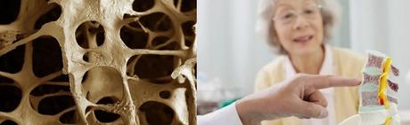 EL TE VERDE MÚLTIPLES BENEFICIOS 