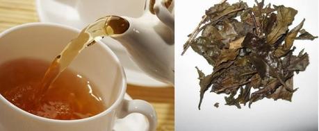 EL TE VERDE MÚLTIPLES BENEFICIOS 