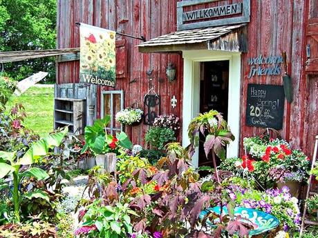 Accesos y Puertas Rusticas / Rustic Door and Entries