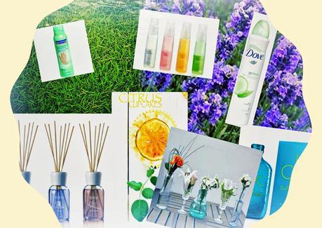 Los consejos de N: Aromas de verano