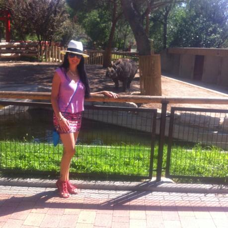 Look Summer en el Zoo de Madrid y Gafas De Sol Northweek