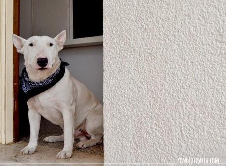 El apartamento. 3. La entrada (un nuevo look) El apartamento. 3. La entrada (un nuevo look)