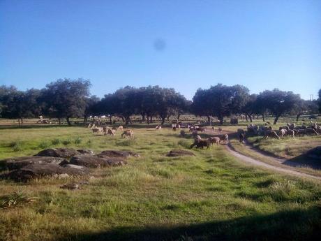 EL RICO TESORO GEOMORFOLÓGICO DE LA ROCA DE LA SIERRA, EN...