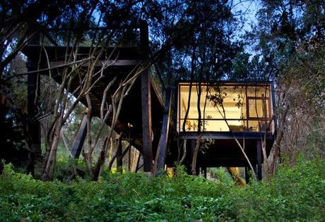 A solas con la naturaleza