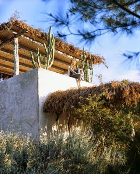 Paraíso africano en la Isla de Formentera