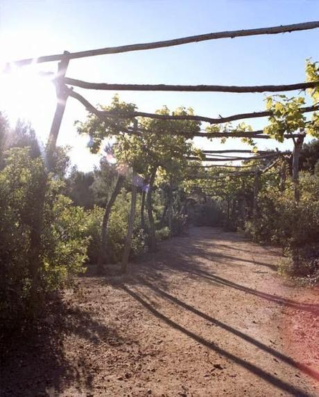 Paraíso africano en la Isla de Formentera