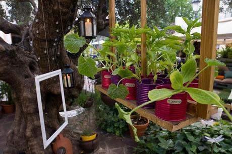 Creando un huerto urbano con Leroy Merlín Leroy Merlin-16