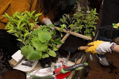 Creando un huerto urbano con Leroy Merlín Leroy Merlin-39