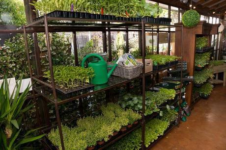 Creando un huerto urbano con Leroy Merlín Leroy Merlin-6