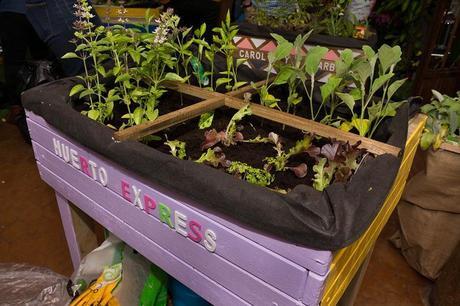 Creando un huerto urbano con Leroy Merlín Leroy Merlin-61