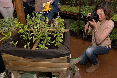 Creando un huerto urbano con Leroy Merlín Leroy Merlin-46