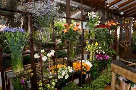 Creando un huerto urbano con Leroy Merlín Leroy Merlin-4