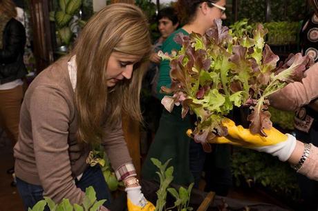 Creando un huerto urbano con Leroy Merlín Leroy Merlin-41