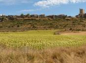 comarca Tierras Burgo