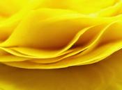 publicar red, buscando empleo