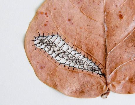 Hillary Fayle, hojas bordadas