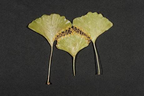 Hillary Fayle, hojas bordadas