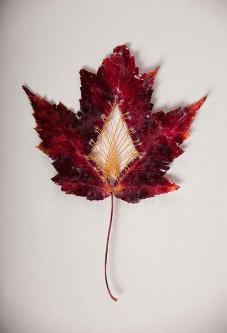 Hillary Fayle, hojas bordadas