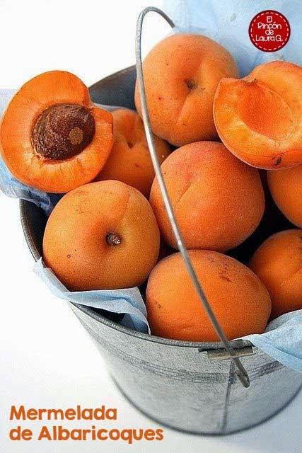 mermelada-albaricoques-damascos