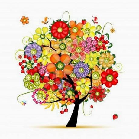 Una semana de aprendizaje!