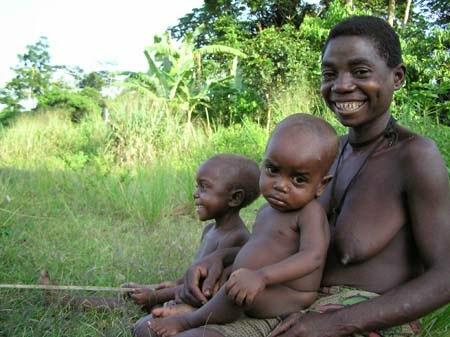 De las abejas y los padres aka