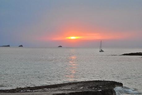 My heart, my mind, my stomach