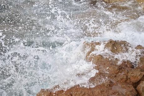 My heart, my mind, my stomach