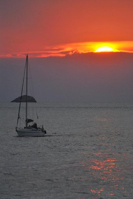 My heart, my mind, my stomach