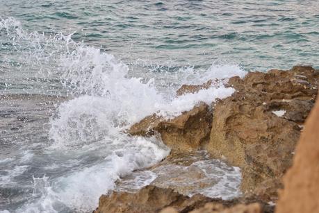 My heart, my mind, my stomach