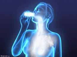 un ACTIMEL cada día...¿os suena?