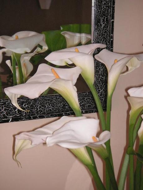 Flores blancas - Paperblog